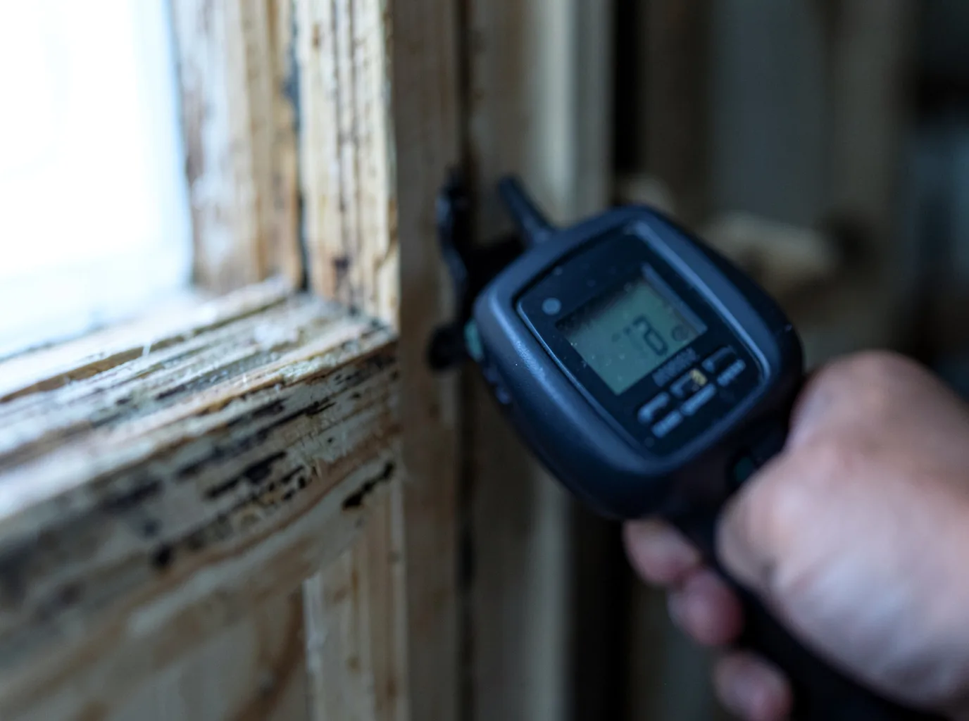 Commercial Water Damage Restoration in Ida Grove, IA